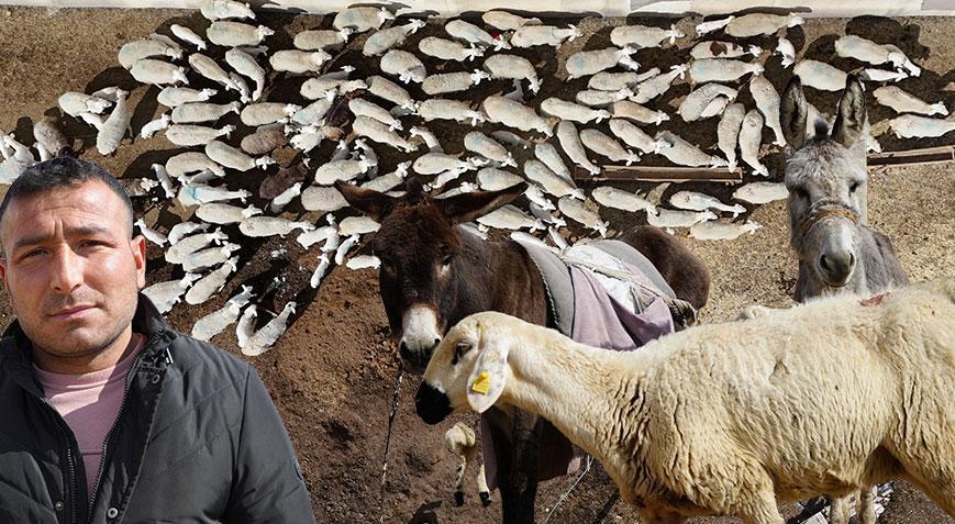 Şehir hayatına sadece 5 ay dayanabildi! Köyüne dönüp kendi işinin patronu oldu!