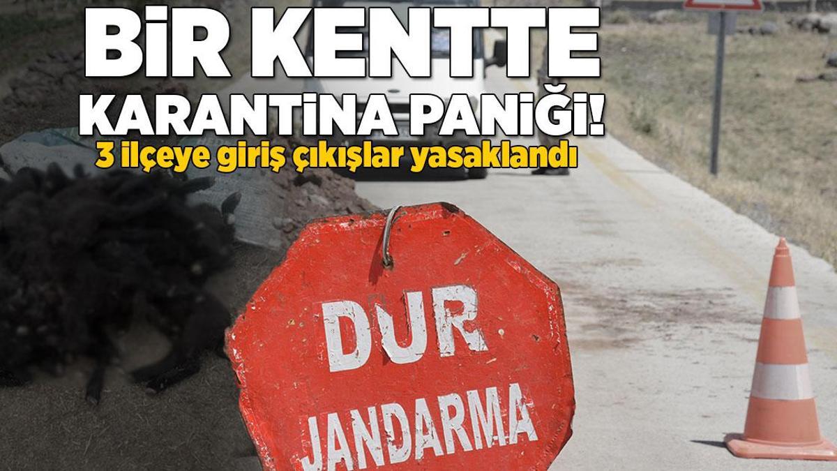 SON DAKİKA KARANTİNA HABERLERİ: Elazığ’da şap hastalığı! 3 ilçede ekiplerin çalışmaları sürüyor