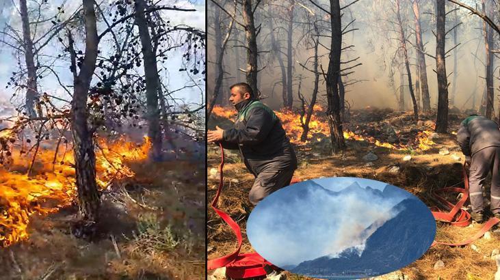Son dakika… Antalya’da orman yangını, ekipler sevk edildi