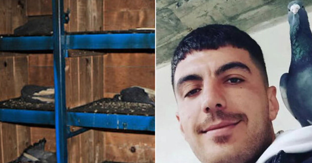 Adana haberleri: İki kuzen sosyal medyada küfürleşti… 'Kuş dolabı' cinneti | Son dakika haberleri