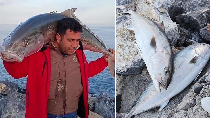 Amatör balıkçılar yakaladı! 65 kiloluk 2 balığı 18 bin TL’ye sattılar