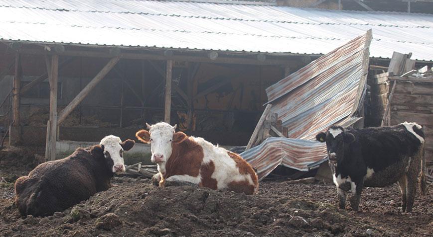 Bolu’da 22 köyde karantina! Giriş çıkışları yasaklandı