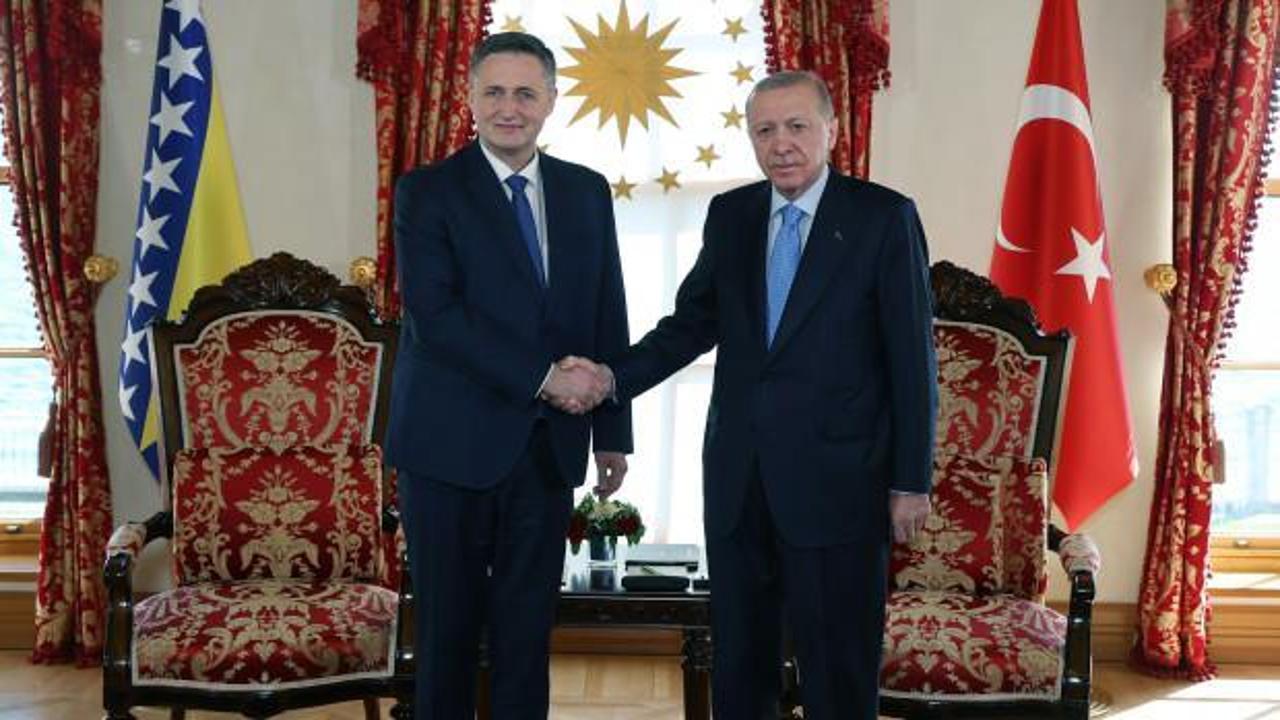 Cumhurbaşkanı Erdoğan, Denis Becirovic’i kabul etti