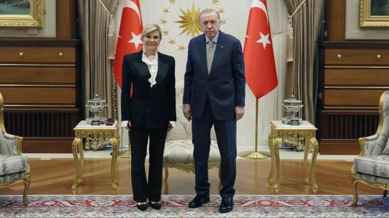 Cumhurbaşkanı Erdoğan, Kitaroviç’i kabul etti