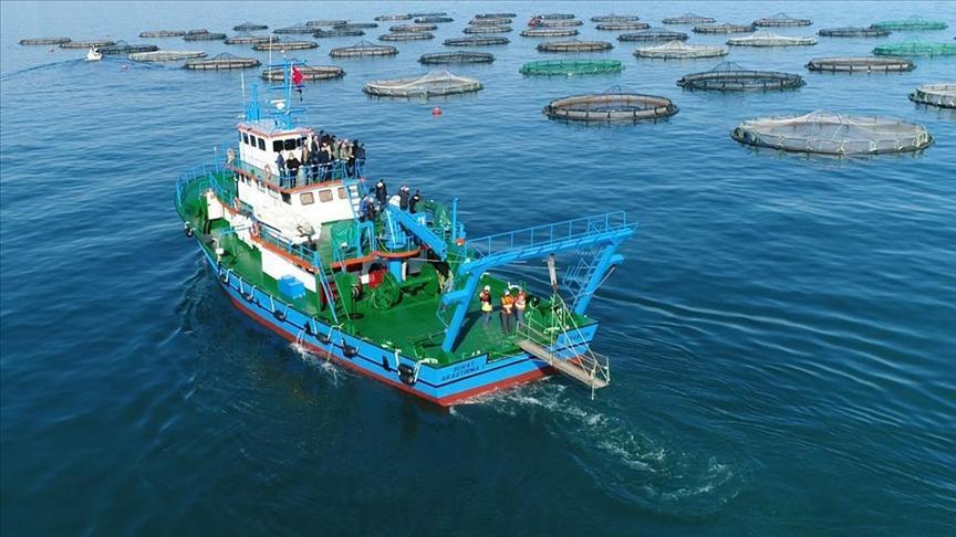 Doğu Karadeniz’in su ürünleri ihracat geliri 15 milyon doları aştı