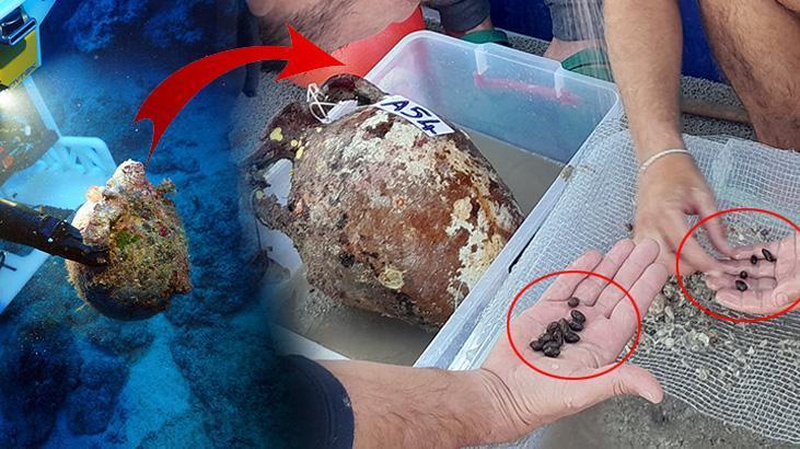 ‘Ezber bozan’ keşif! Türkiye’de ortaya çıktı, heyecan yarattı