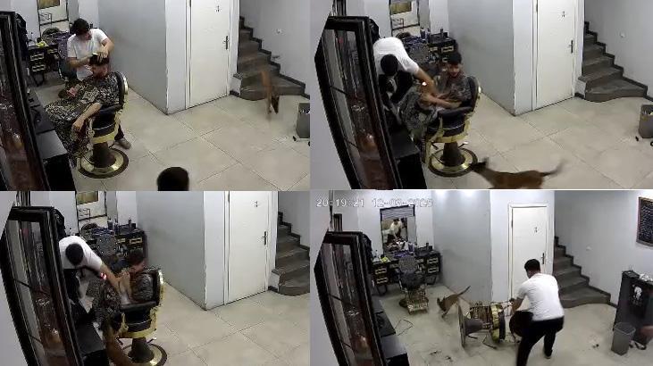 Kuaförde köpek paniği! İlginç anlar kamerada