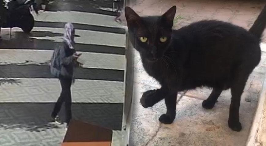 Mahallelinin baktığı ‘Karam’ geri geldi! Kediyi götüren kadın ile ilgili gerçek ortaya çıktı
