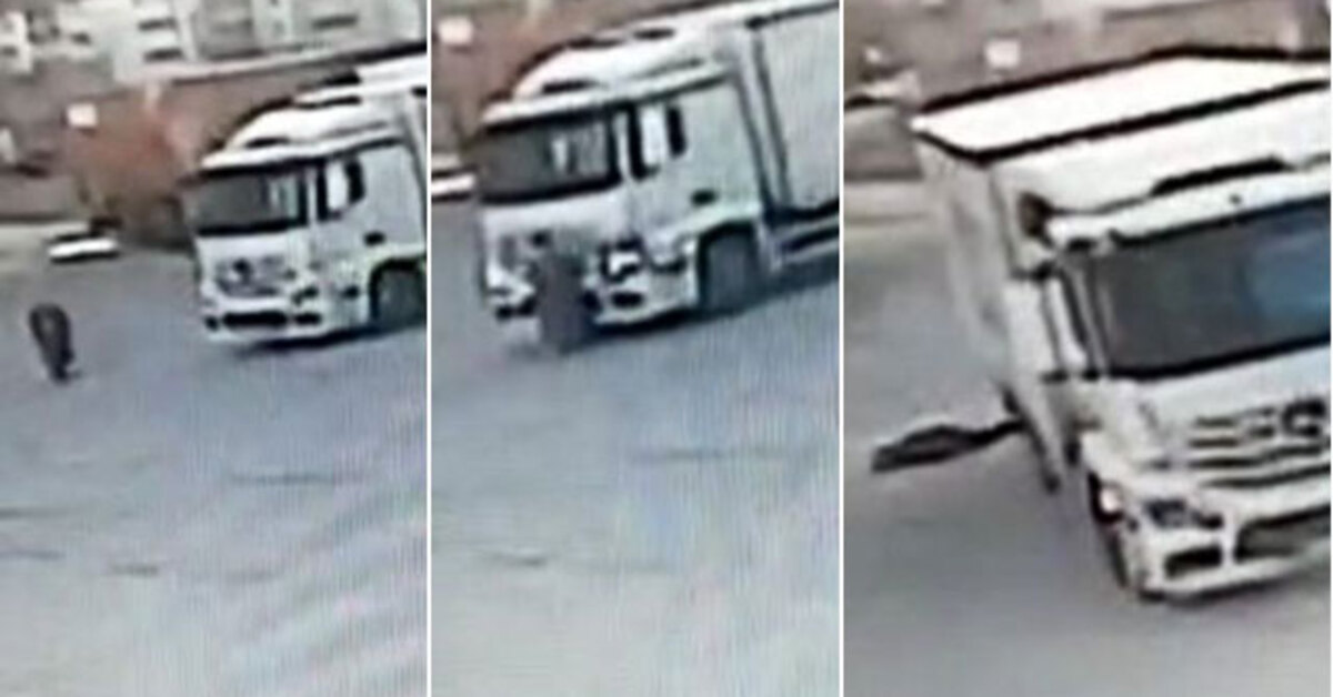 Motosikletli kurye uyardı! Ezdiğini fark etmedi | SON DAKİKA HABERLER | Son dakika haberleri