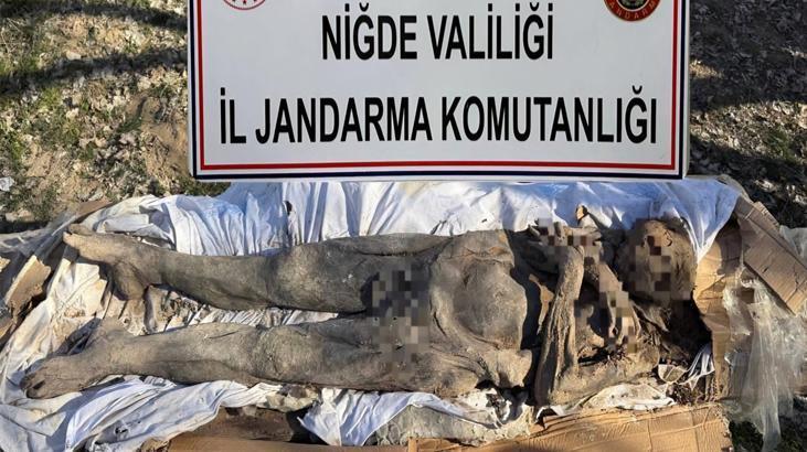 Niğde’de şoke eden olay! Orta Çağ’a ait mumyayı satmaya çalışırken yakalandılar: 6 kişi gözaltına alındı