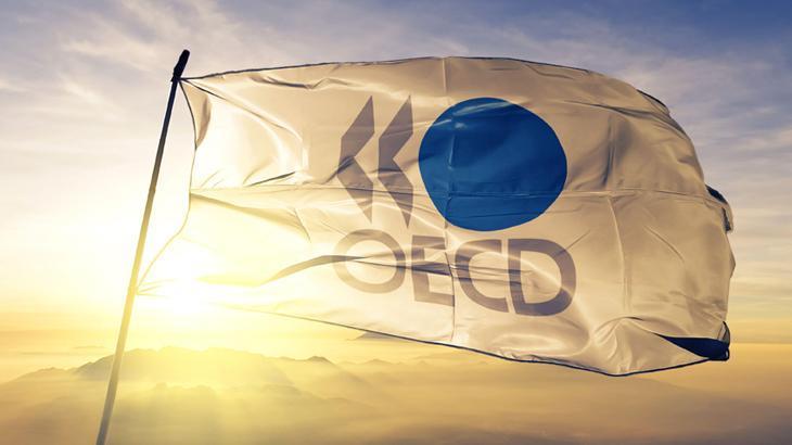 OECD: Küresel borç piyasaları zorlu bir görünümle karşı karşıya