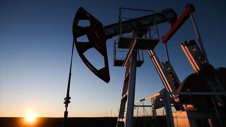 Petrol devlerinin karı geçen yıl düştü