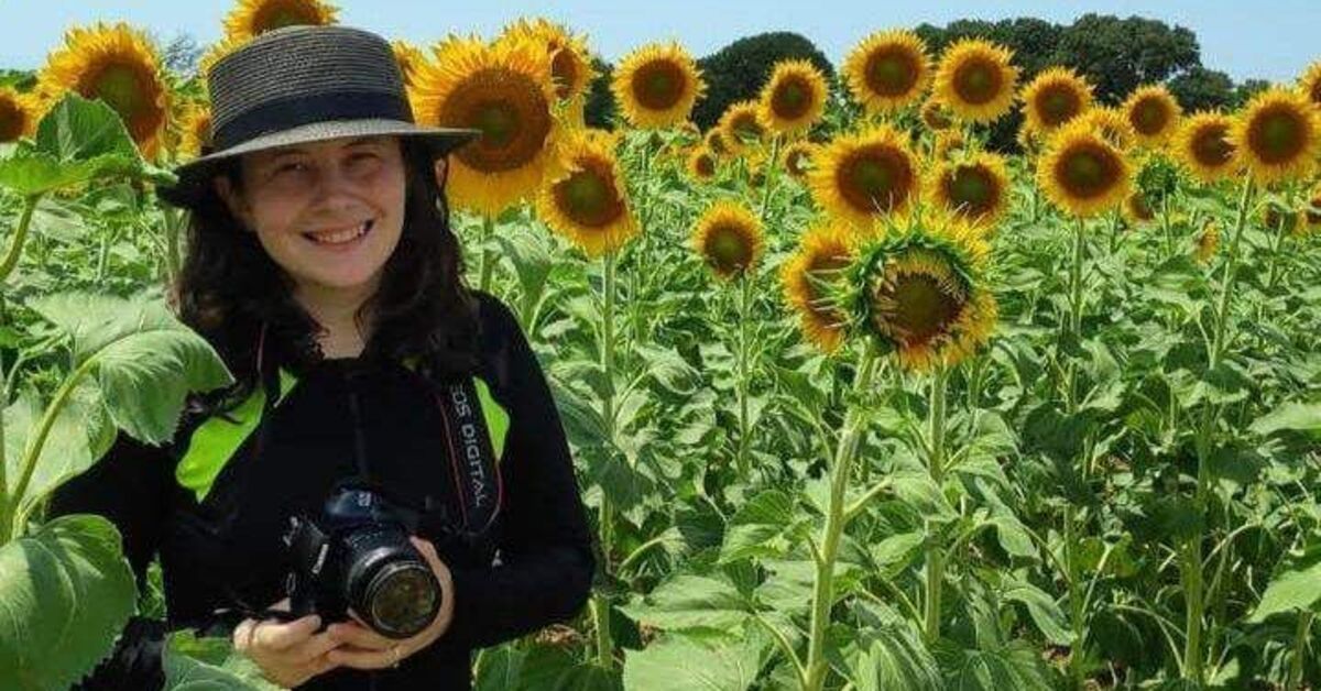 Peyzaj mimarı Ece Gürel Belgrad ormanında aranıyor | SON DAKİKA HABERLER | Son dakika haberleri