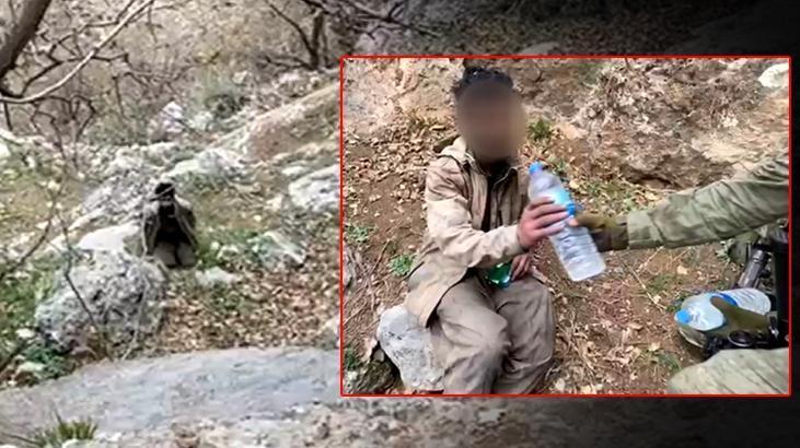 PKK/YPG’li terörist böyle teslim oldu! Mehmetçik ile dikkat çeken diyalog