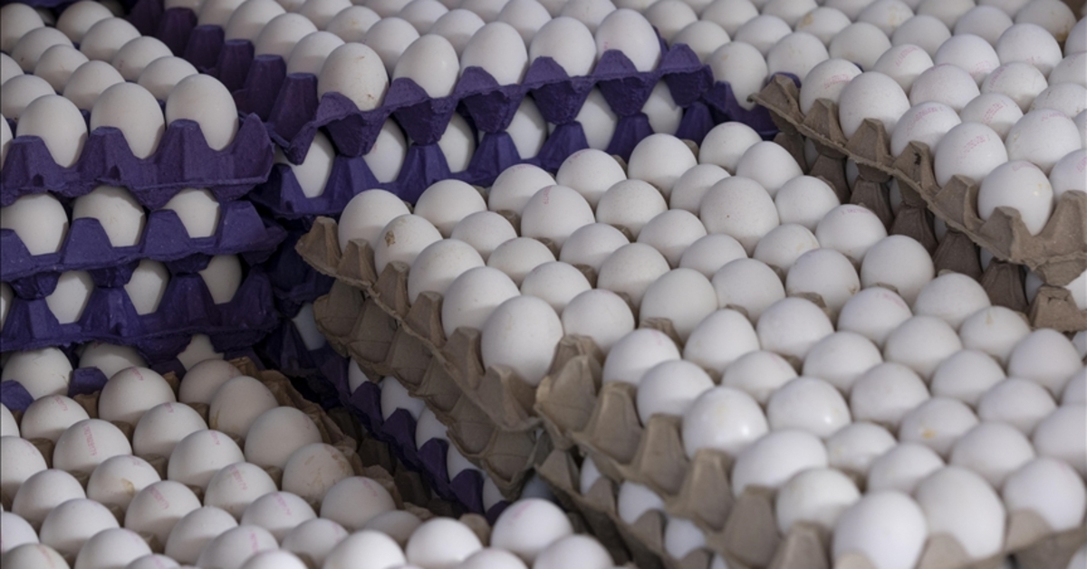 Sofralık yumurta ihracatında fon kesintisi yükseltildi – İş-Yaşam Haberleri