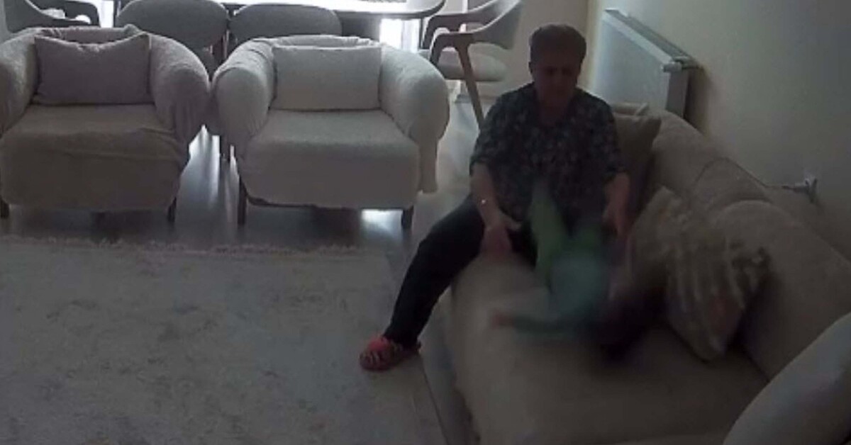 Aydın haberleri: Şüpheyle eve yerleştirilen kamera, bakıcı şiddetini ortaya çıkardı! – Korkunç görüntü! | Güncel haberler | Son dakika haberleri