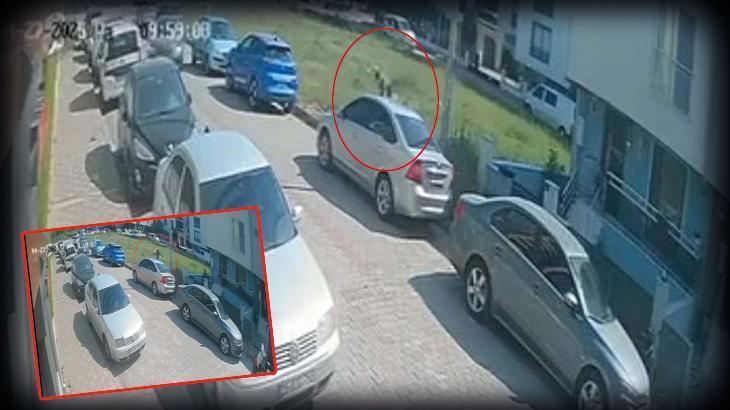 Aydın’da 17 yaşındaki çocuk kabusu yaşadı! Köpeklerden kaçmak isterken arabaya çarptı