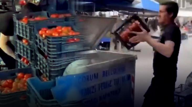 Çorum’da domatesleri ucuza satmamak için çöpe döken pazarcıya milyonluk para cezası