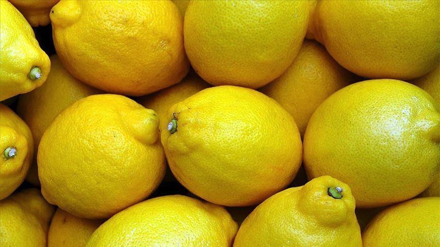 Irak, Türk limonuna talepte Rusya’yı geride bıraktı