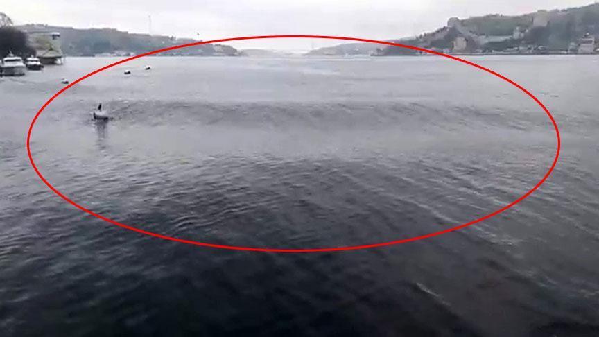 İstanbul’da deprem sonrası korkutan görüntü! Boğaz’da dalgalar kabardı