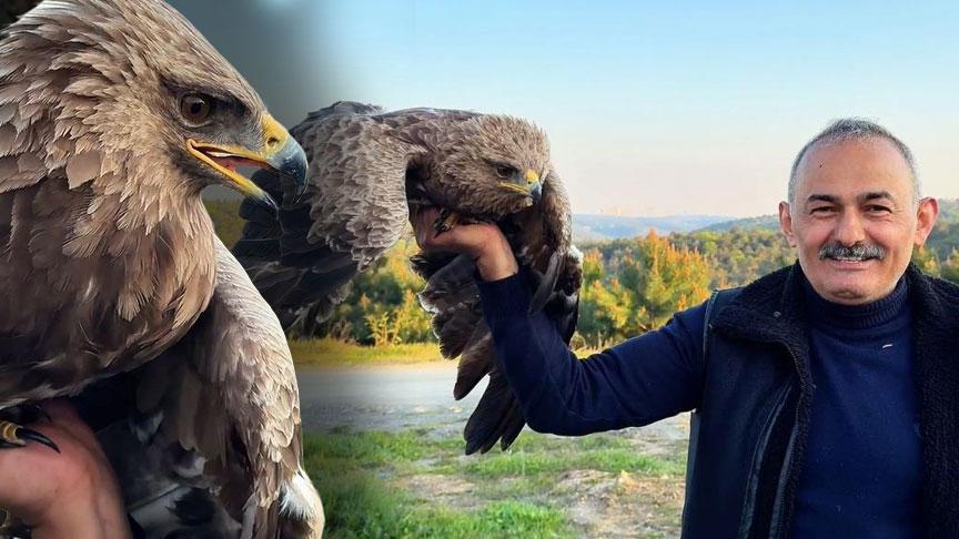 İstanbul’da şaşırtan keşif! Ot toplamaya giden vatandaş kartal buldu