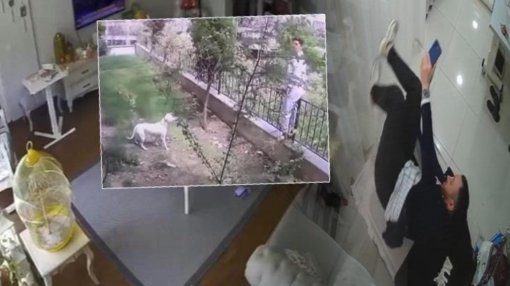 İstanbul’daki deprem anına ait yeni görüntüler: Köpek ve muhabbet kuşunun tepkisi kamerada