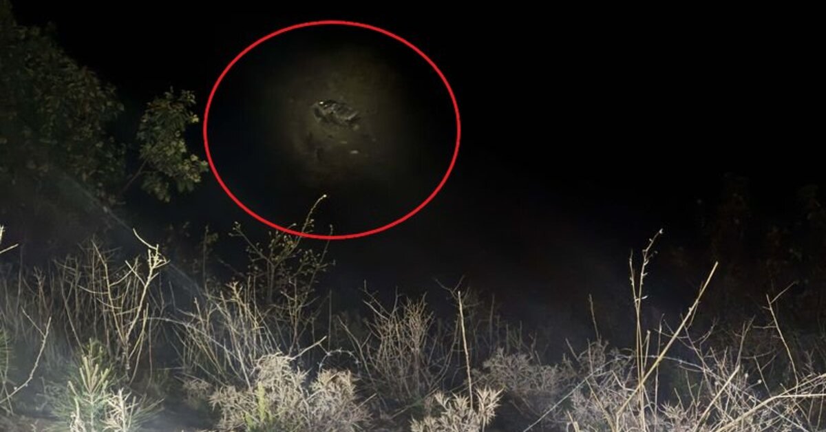 Kahramanmaraş'ta hafif ticari araç uçuruma yuvarlandı: 1 ölü, 3 yaralı