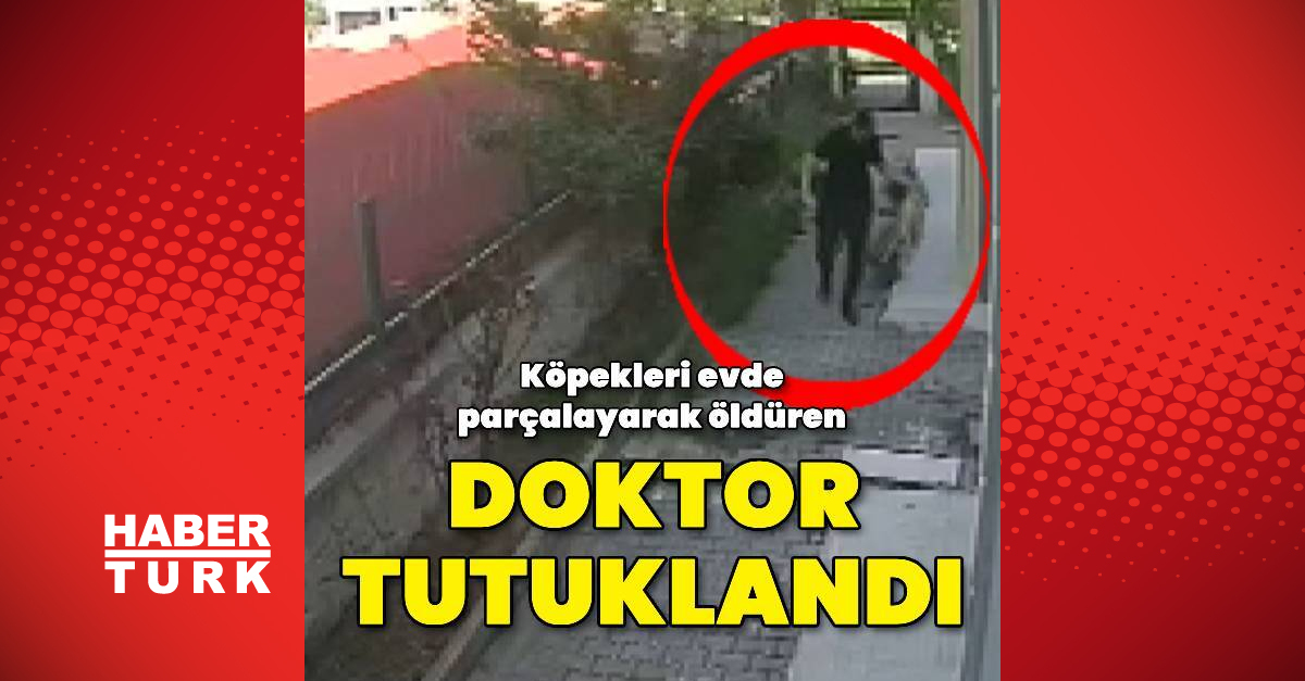 Köpekleri evde parçalayarak öldüren doktor tutuklandı | Son dakika haberleri