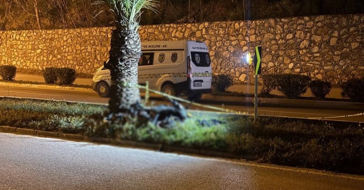 Motosikletle ağaca çarpan tıp fakültesi öğrencisi hayatını kaybetti – Güncel haberler