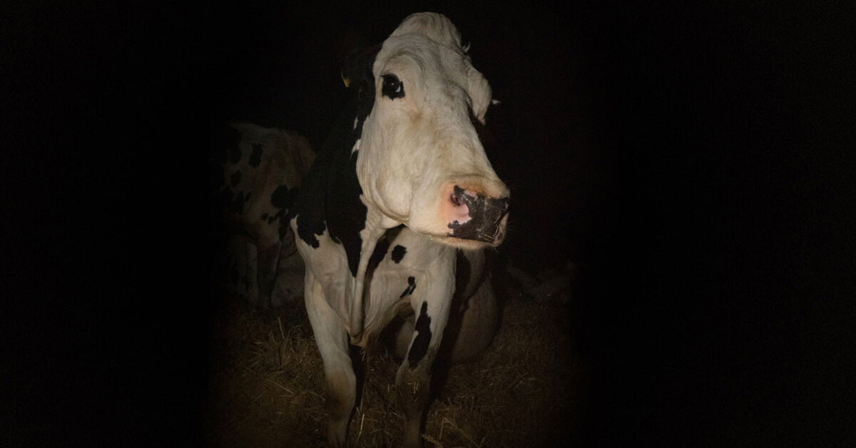 Şanlıurfa haberleri: 10 yaşındaki Berfin'i öldüren darbe | SON DAKİKA HABERİ | Son dakika haberleri