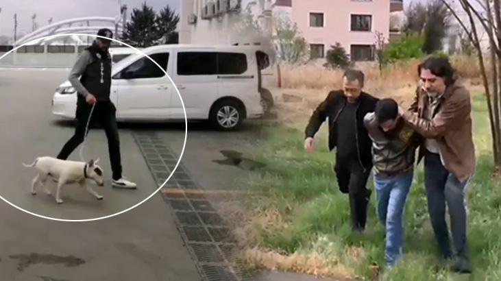 Türkiye’de sadece 30 var! 10 bin Euro’luk köpeği çalan şahıs yakalandı