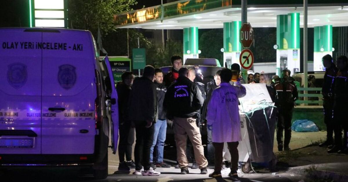 Vicdanlarını çöpe attılar! | Son dakika haberleri