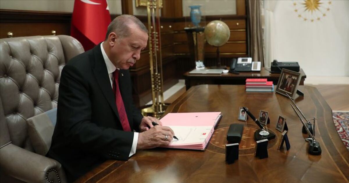 Cumhurbaşkanı Erdoğan, HSK'ya 4 yeni üye atadı – Güncel haberler