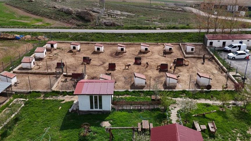 Dünyada eşi benzeri yok! Ünü ülke sınırlarını aştı: Suudi Arabistan, Katar, BAE peşinde…