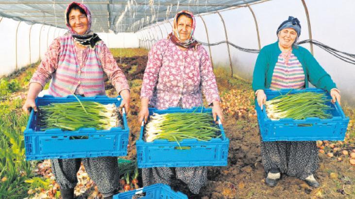 Gıda güvenliği için ‘gençlik’ harekâtı!
