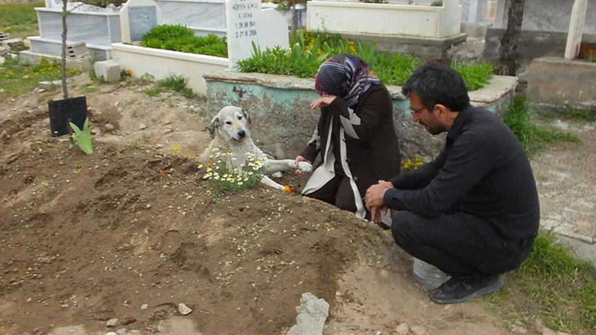 Herkes gitti bir tek o kaldı! ‘Gece gündüz mezarlıkta yatıyor’