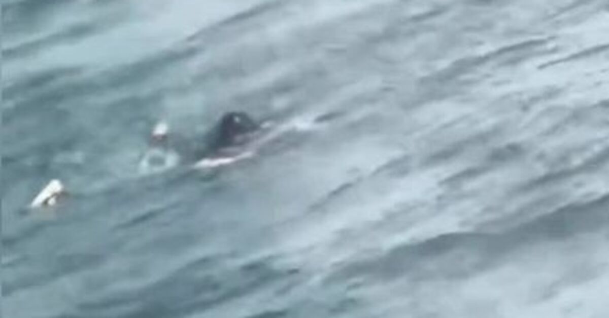 İstanbul Boğazı'nda vapurdan düşen 10 yaşındaki kız kurtarıldı; o anlar kamerada