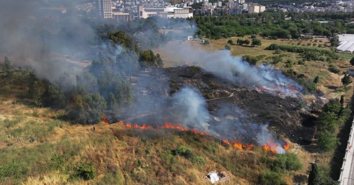 İzmir'de ağaçlık ve otluk alanda yangın çıktı – Güncel haberler
