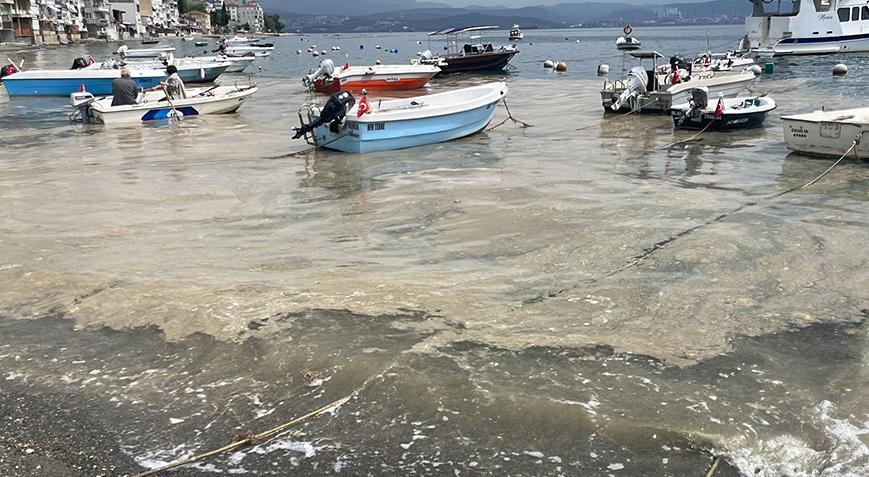Kabus geri mi dönüyor? Marmara Denizi’nde korkutan görüntü