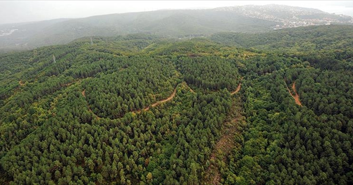 Kahramanmaraş'ta ormanlık alanlara girişler yasaklandı – Güncel haberler