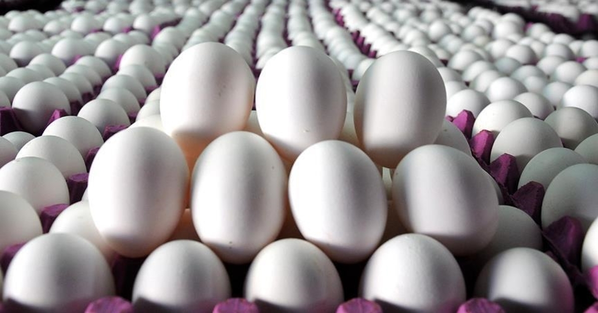 Sofralık yumurta ihracatında muafiyet Resmi Gazete'de – İş-Yaşam Haberleri