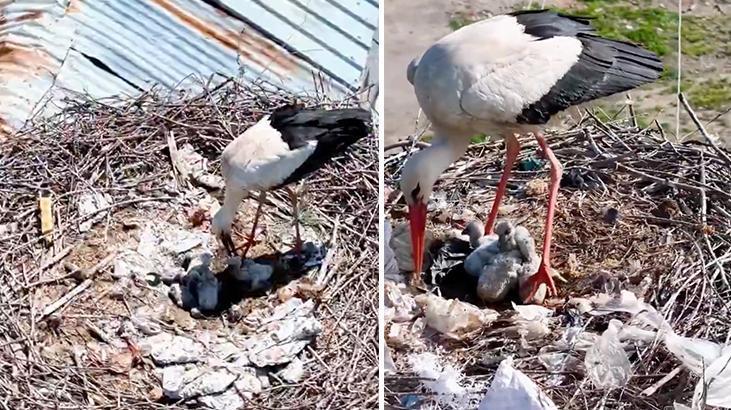Tam zamanında mucize! Köyü terk etmediler Anneler Günü’nde ‘anne’ oldular