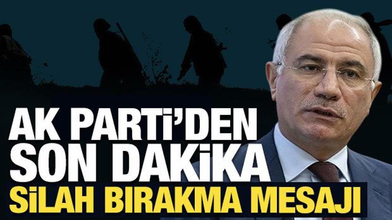 Terör örgütü silahları ne zaman bırakacak? AK Partili Ala’dan açıklama!