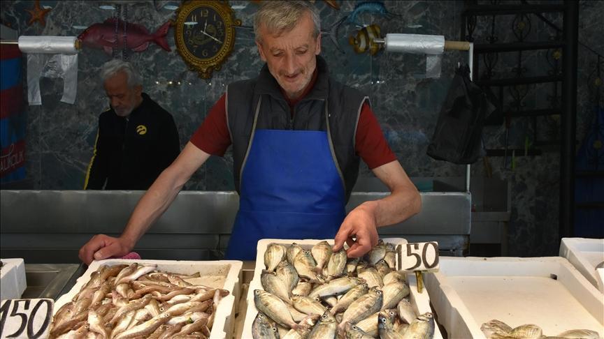 Trabzon’da balık çeşitleri tezgahları süslüyor