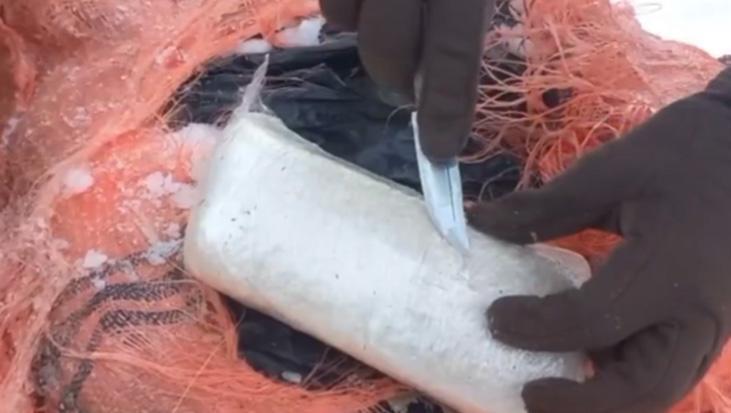 İçişleri Bakanlığı: Van ve Hakkari’de 406 kilogram uyuşturucu ele geçirildi