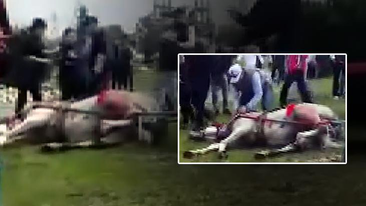 Adana’da dehşet anları! Koşmayan ata acımasız işkence