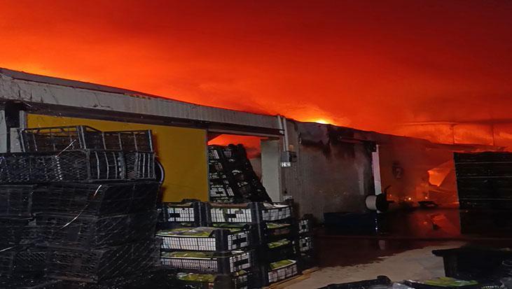 Antalya'da muz paketleme ve sarartma tesisinde yangın
