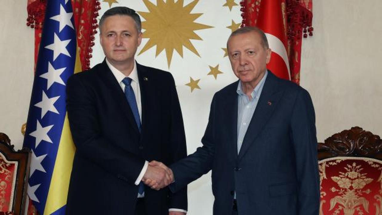 Cumhurbaşkanı Erdoğan, Bosna Hersek Devlet Başkanlığı Konseyi Başkanı ile görüştü