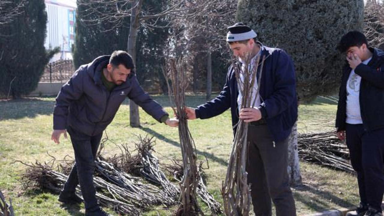 Konya’da 23 bin 500 fidan çiftçiye ulaştırıldı!