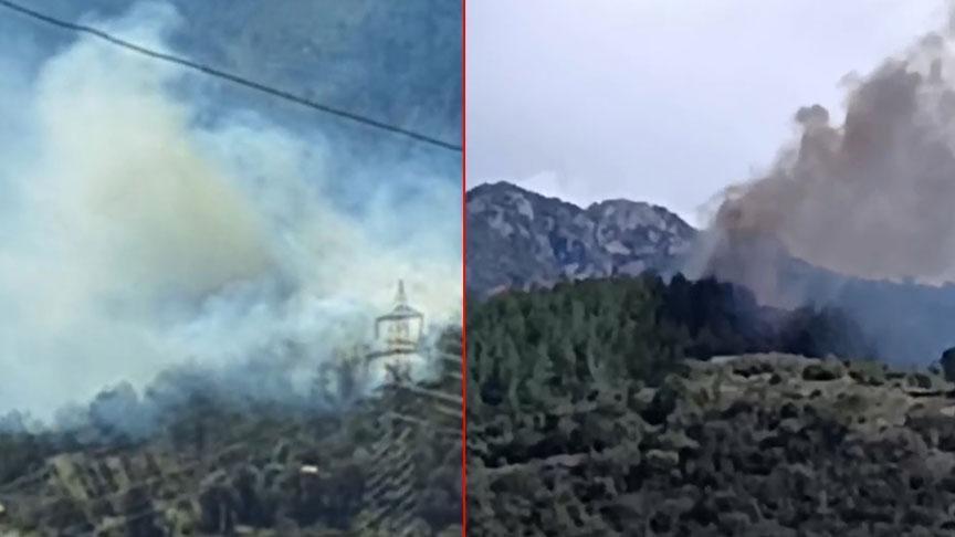 Osmaniye'de orman yangını! 2 saatte söndürüldü